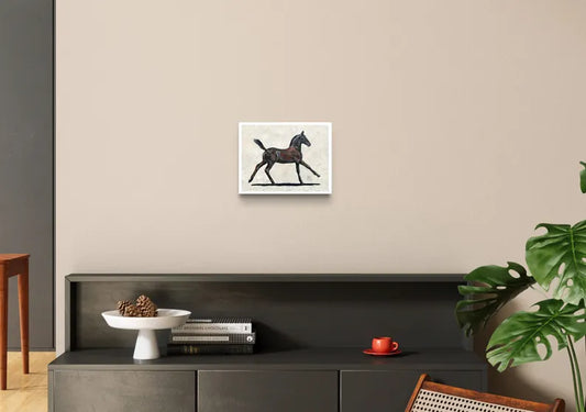 Little Black II - Galop