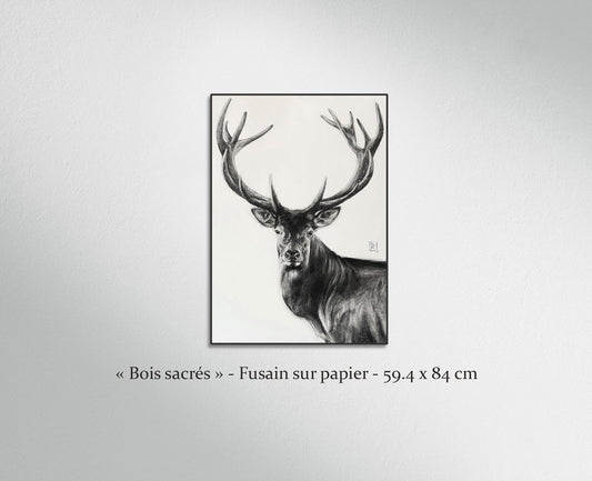 Comme une apparition suspendue ...