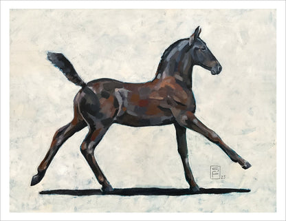 Little Black II - Galop
